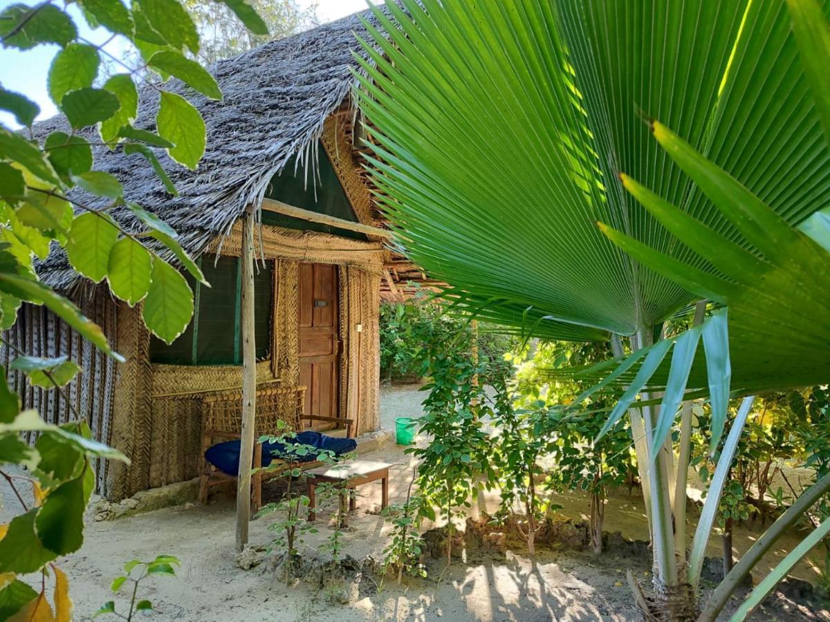 Your Zanzibar Place Paje Buitenkant foto