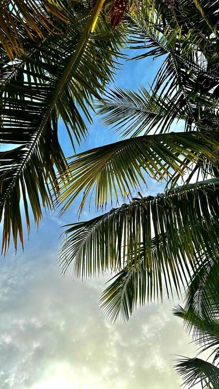 Your Zanzibar Place Paje Buitenkant foto