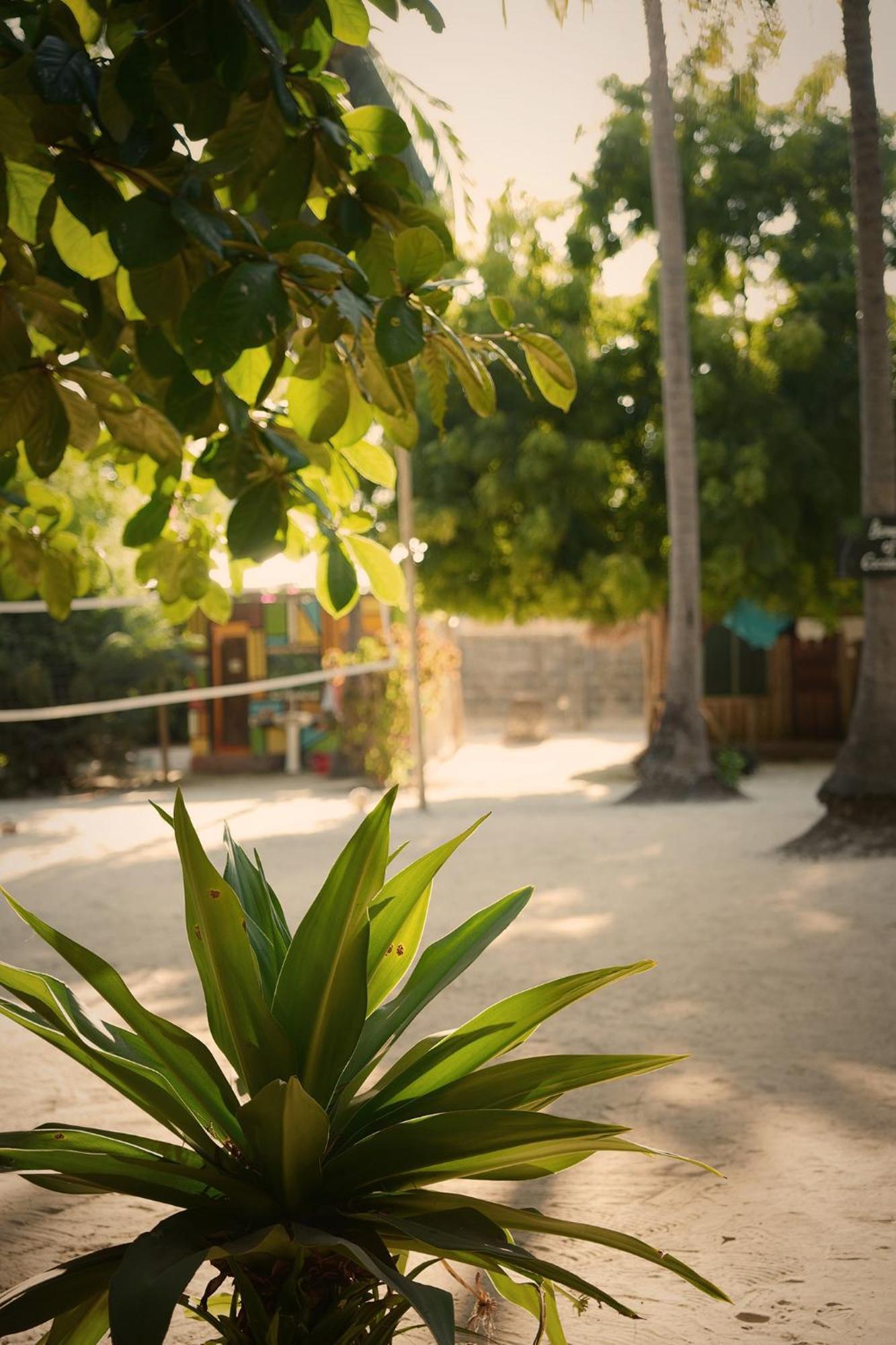Your Zanzibar Place Paje Buitenkant foto