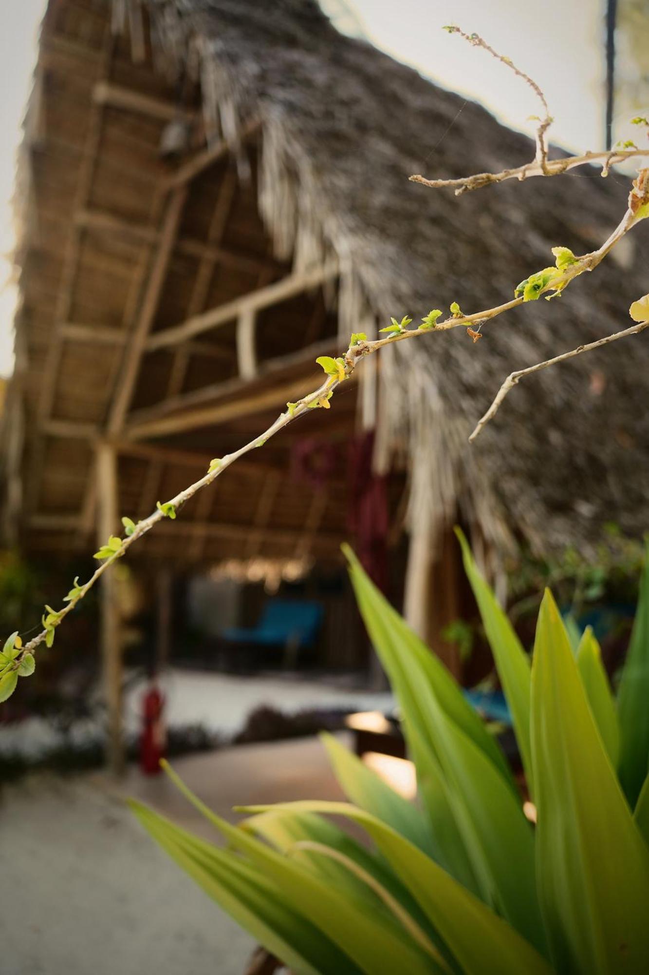 Your Zanzibar Place Paje Buitenkant foto